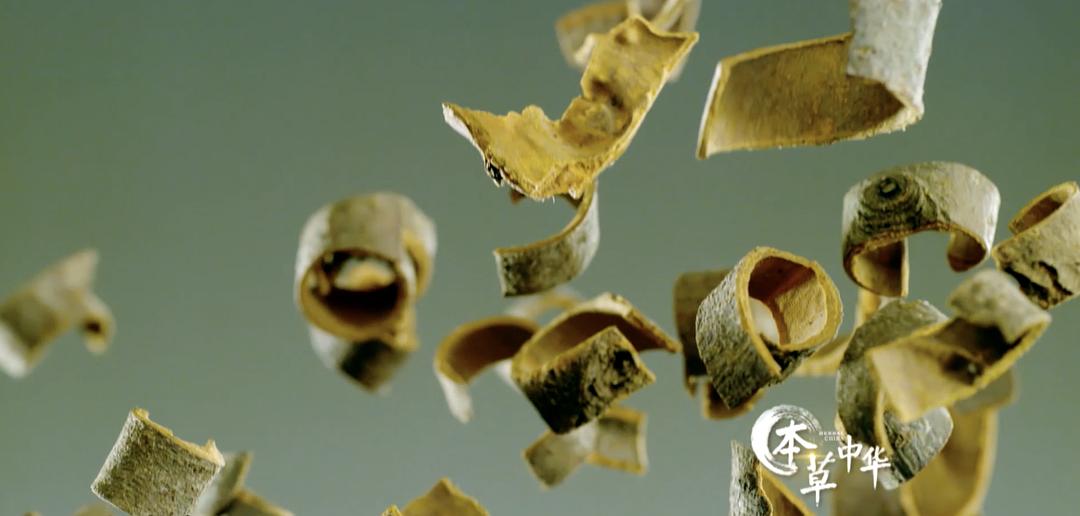 本草中华