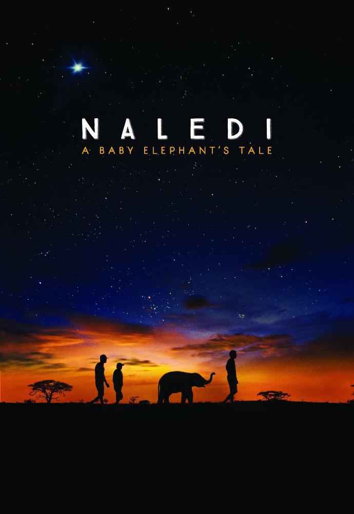 纳勒迪:一只小象的故事 Naledi: A Baby Elephant's Tale