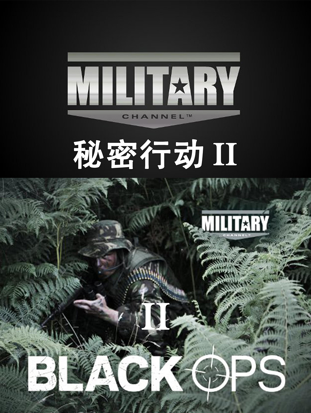 秘密行动 第一季 Black Ops Season 1