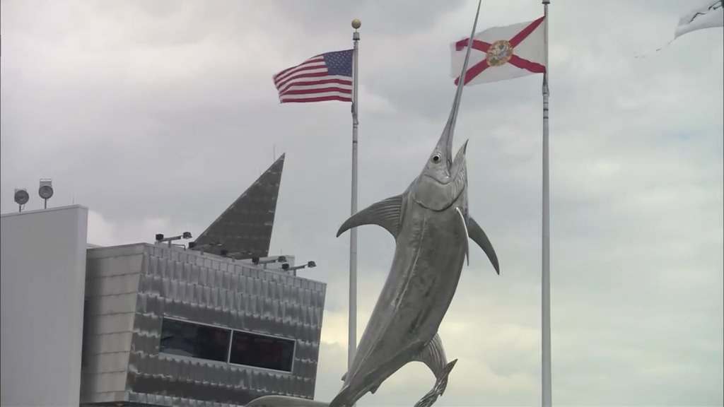 自然:超级鱼类 The Natural World Superfish