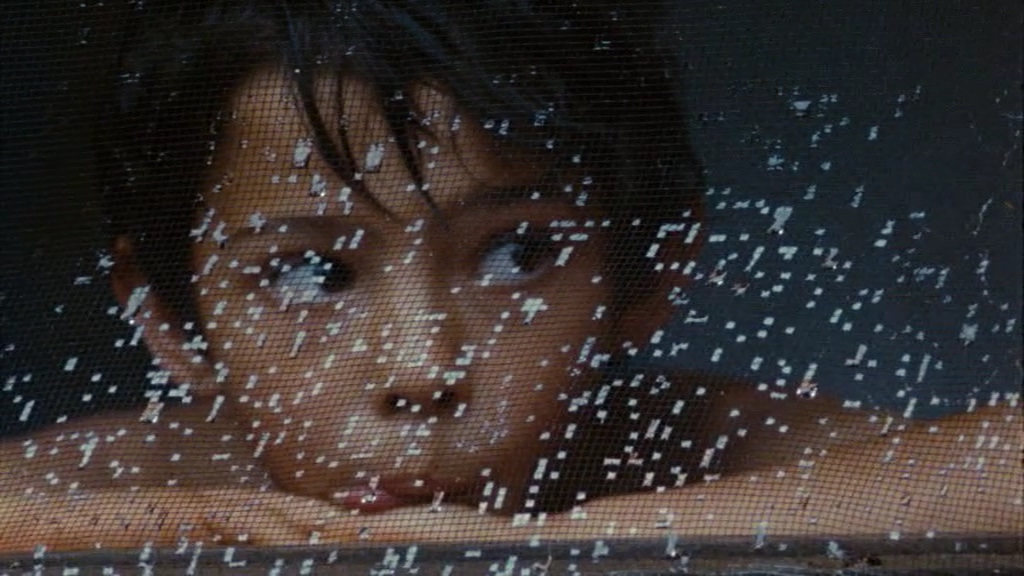 阿根廷课程 Argentyńska lekcja