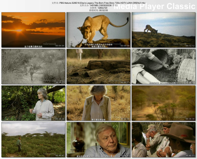 PBS:自然 – 艾尔莎的遗产:生而自由的故事 Elsa's Legacy: The Born Free Story