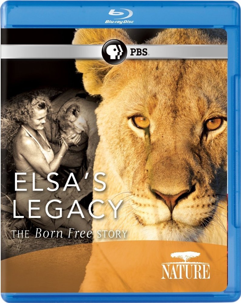 PBS:自然 – 艾尔莎的遗产:生而自由的故事 Elsa's Legacy: The Born Free Story