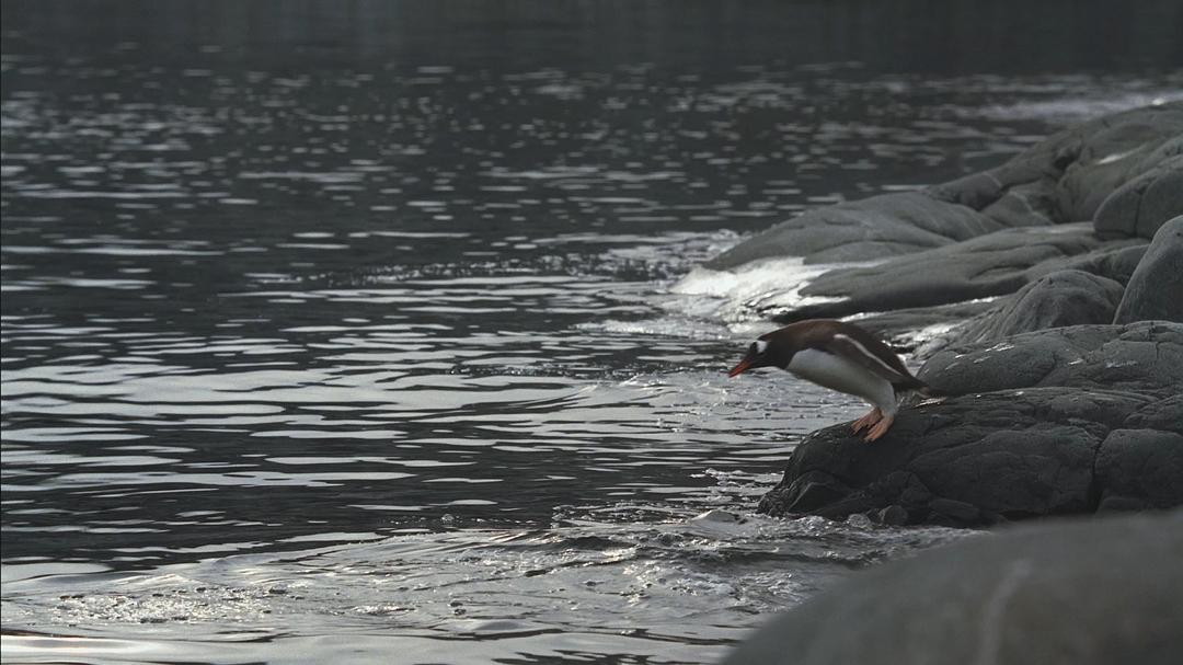 海洋王国 Le Peuple des Océans