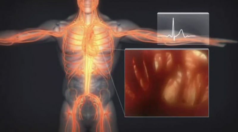 勇往直前 To Boldly Go