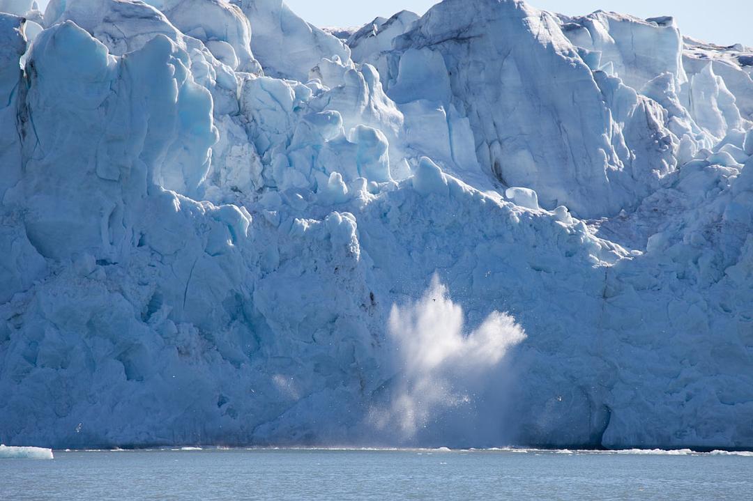 北极 To the Arctic 3D