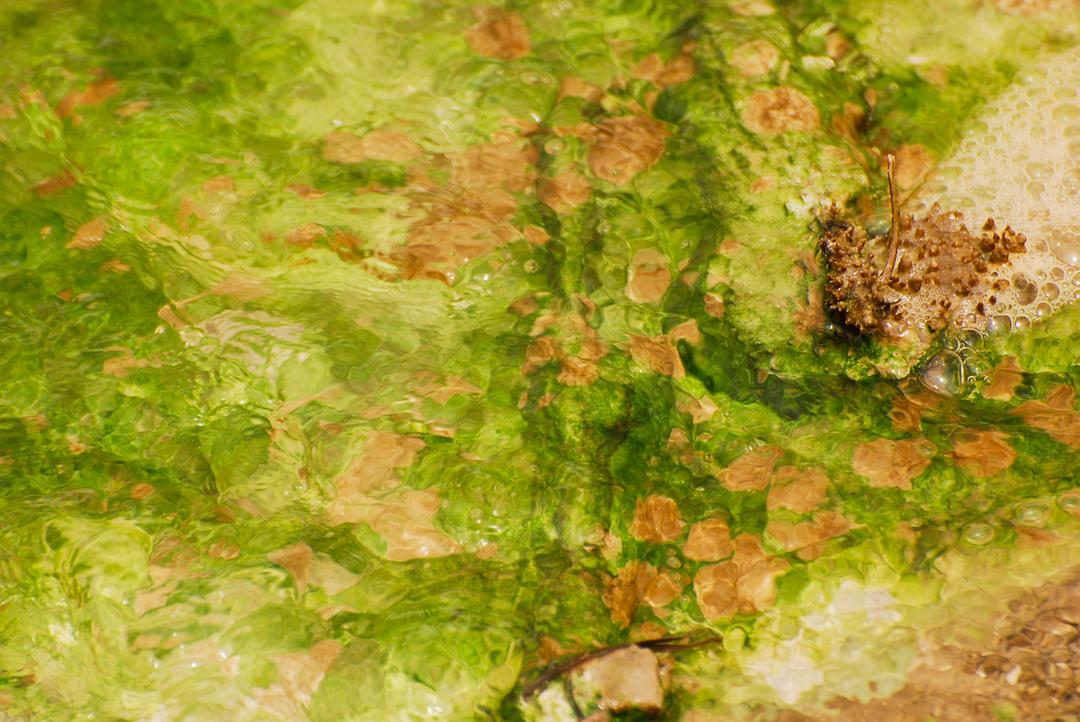 地狱中的生命 Life in Hell-Extremophiles