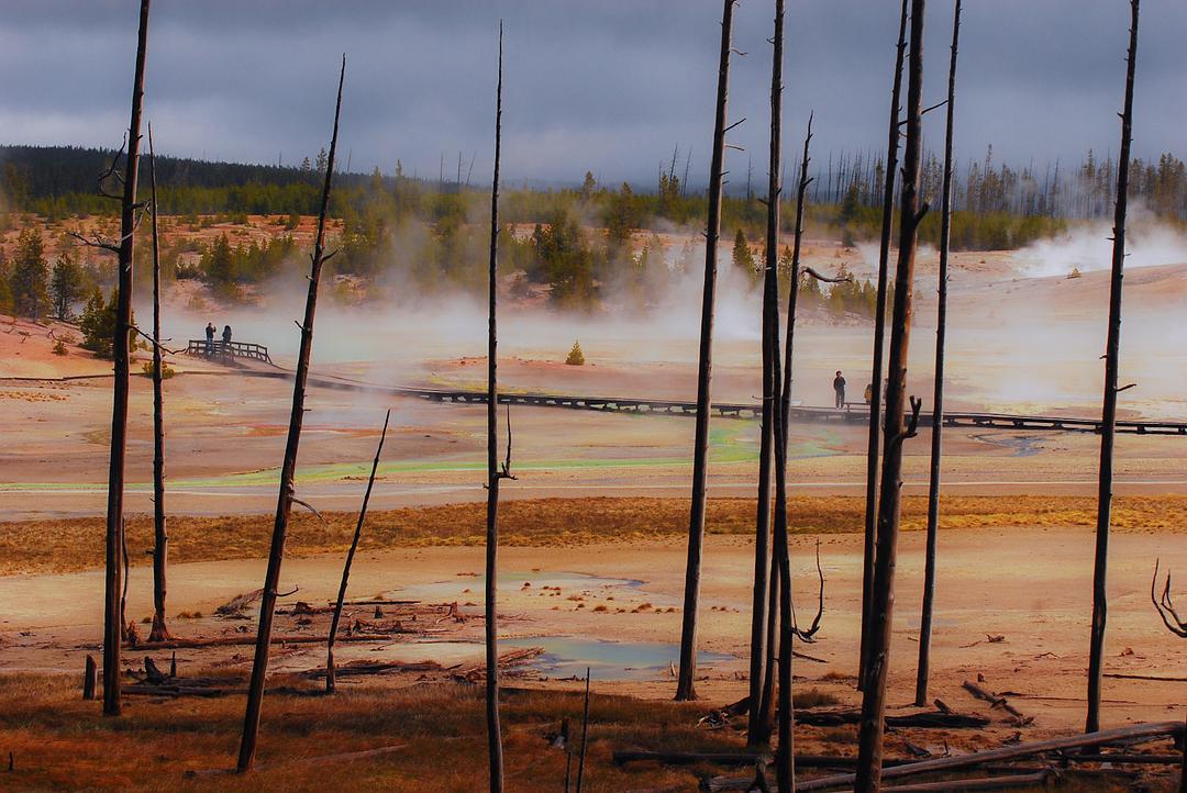 地狱中的生命 Life in Hell-Extremophiles