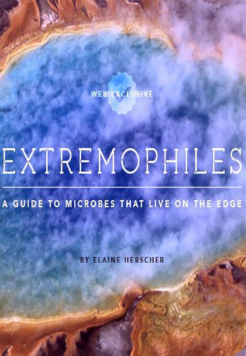 地狱中的生命 Life in Hell-Extremophiles