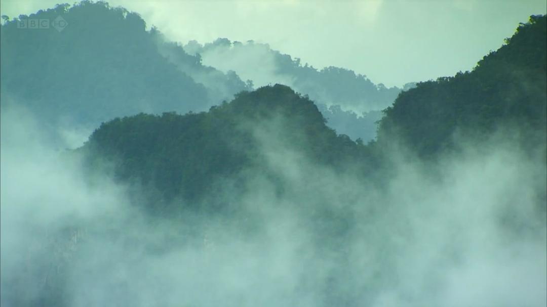 种出个地球 How To Grow A Planet