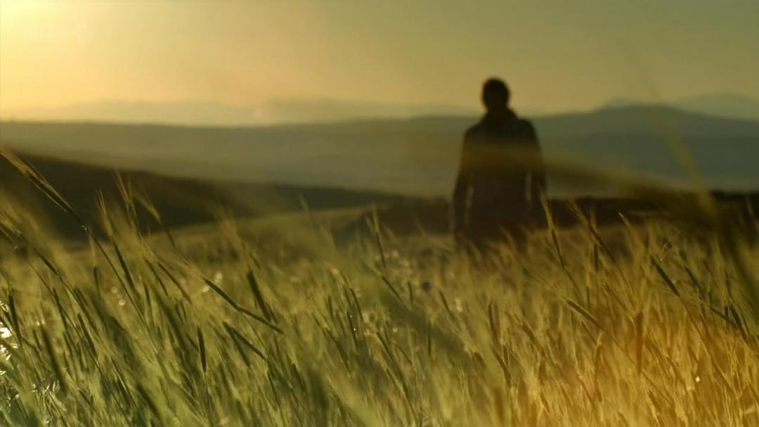 种出个地球 How To Grow A Planet