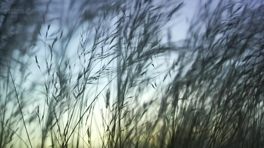 种出个地球 How To Grow A Planet