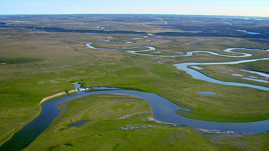 种出个地球 How To Grow A Planet