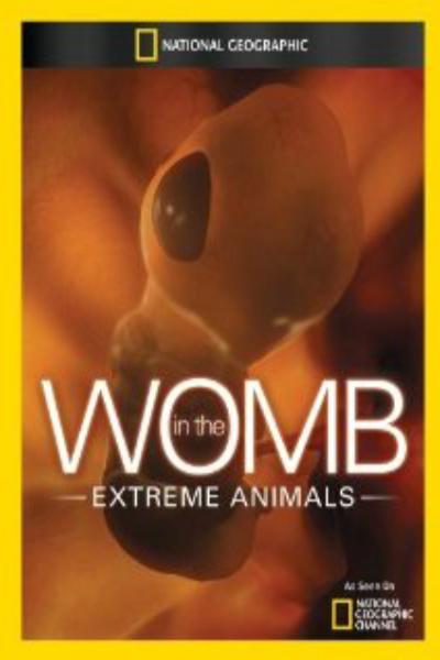 子宫日记:极端动物 In the Womb: Extreme Animals