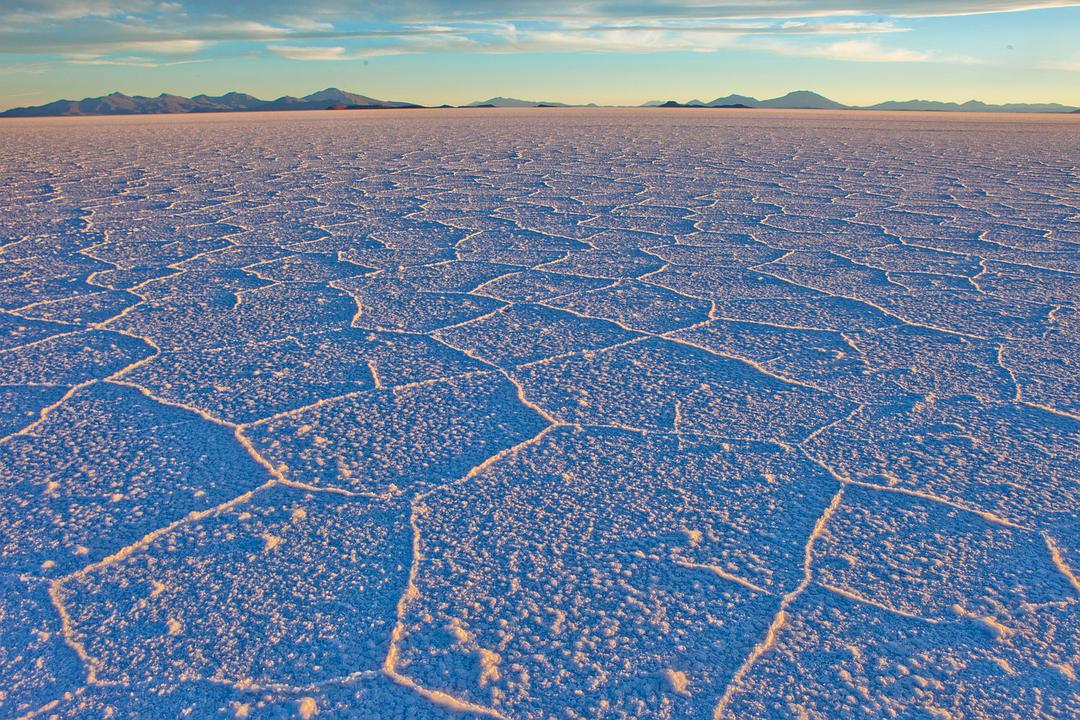 地球之盐 Le sel de la Terre