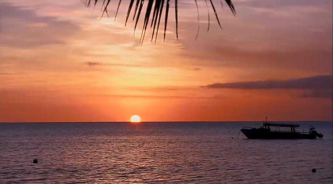 大海的风景 Visions of the Sea: Explorations