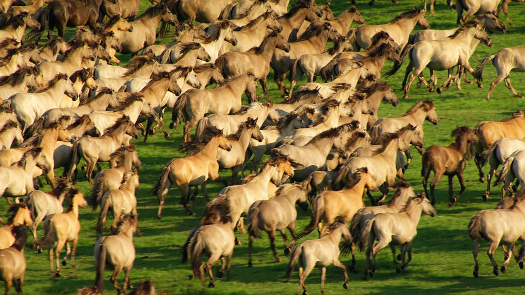 俯瞰德国 第一季 Deutschland von Oben Season 1