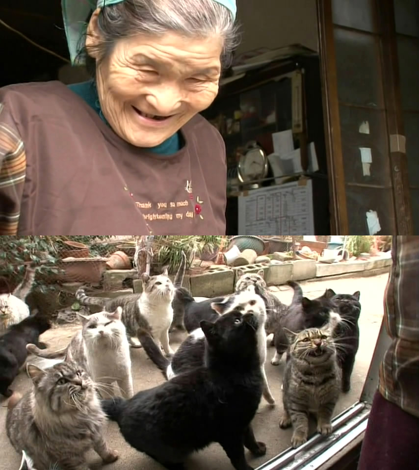 猫咪物语5 にゃんこ THE MOVIE 5