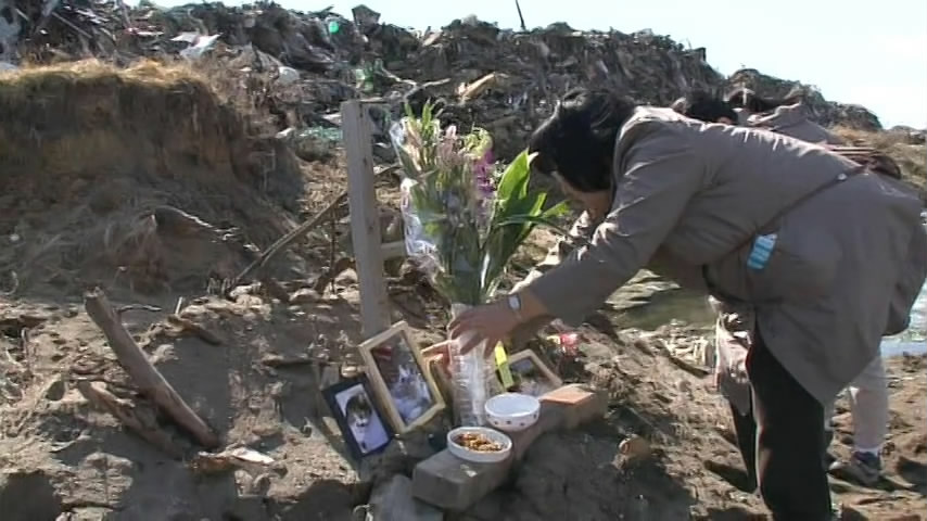 猫咪物语5 にゃんこ THE MOVIE 5