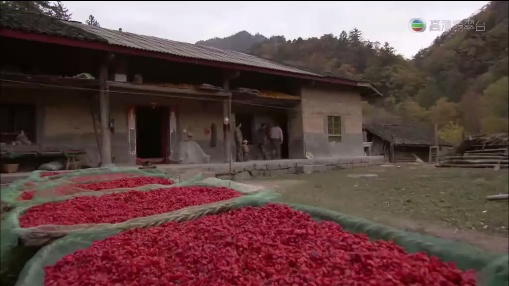 马文与中国大熊猫 Panda Adventure with Nigel Marven