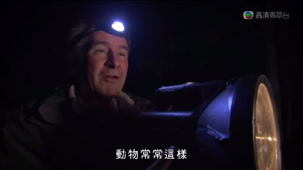 马文与中国大熊猫 Panda Adventure with Nigel Marven
