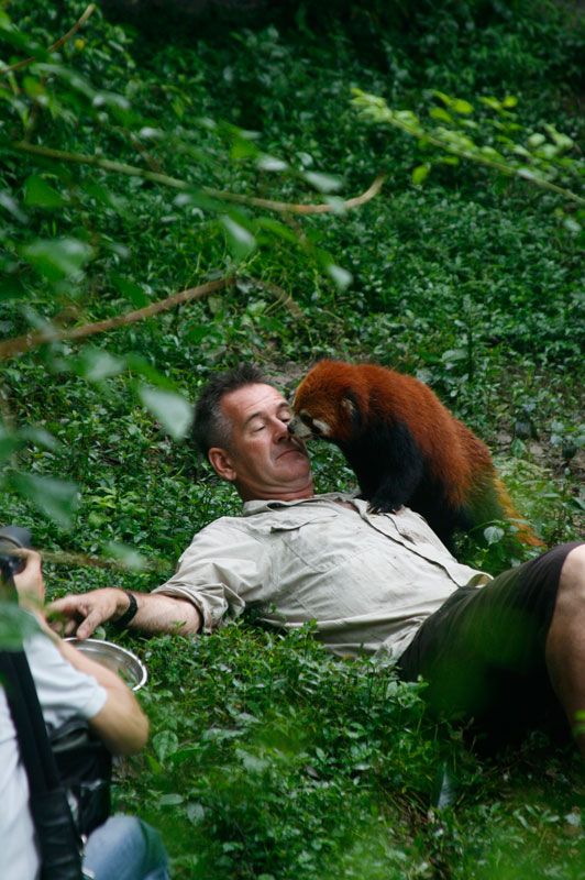未发现的中国 Untamed China With Nigel Marven