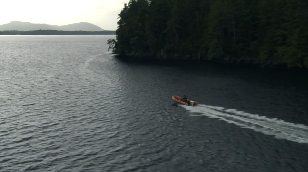 狼群 失落的领地 Land of the Lost Wolves