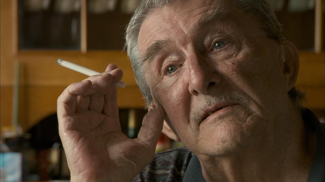 我们讲述的故事 Stories We Tell