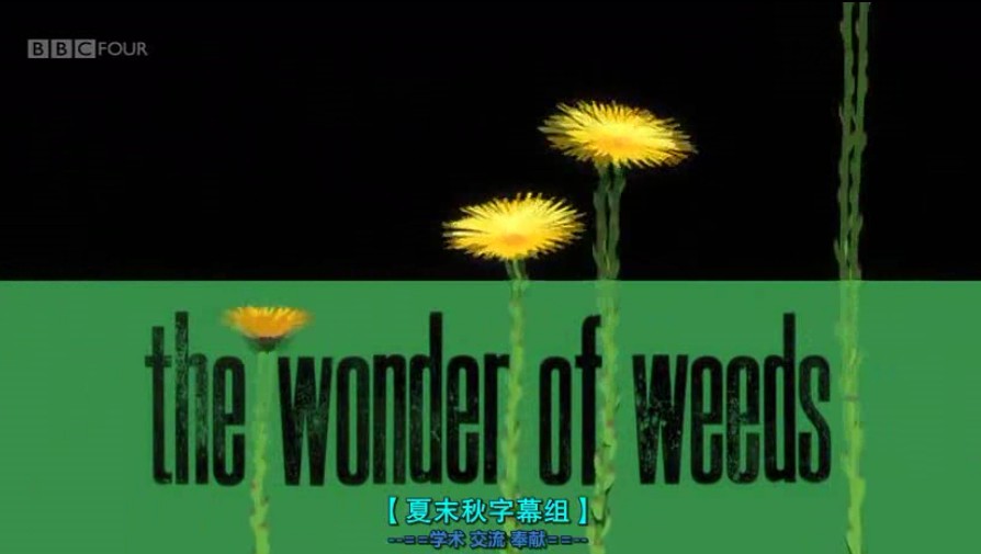奇妙的杂草 The Wonder of Weeds