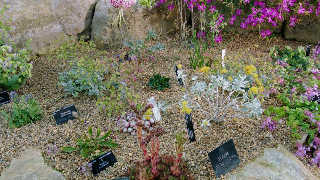 植物王国 Kingdom of Plants 3D