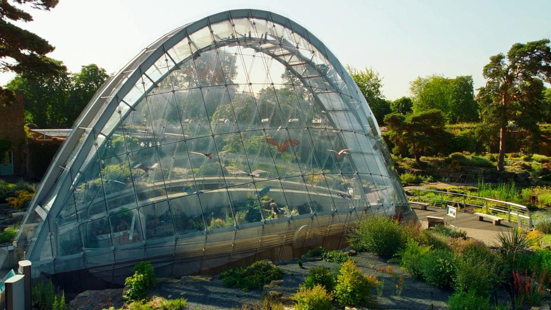 植物王国 Kingdom of Plants 3D