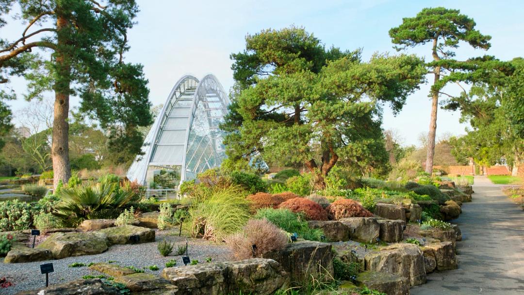 植物王国 Kingdom of Plants 3D