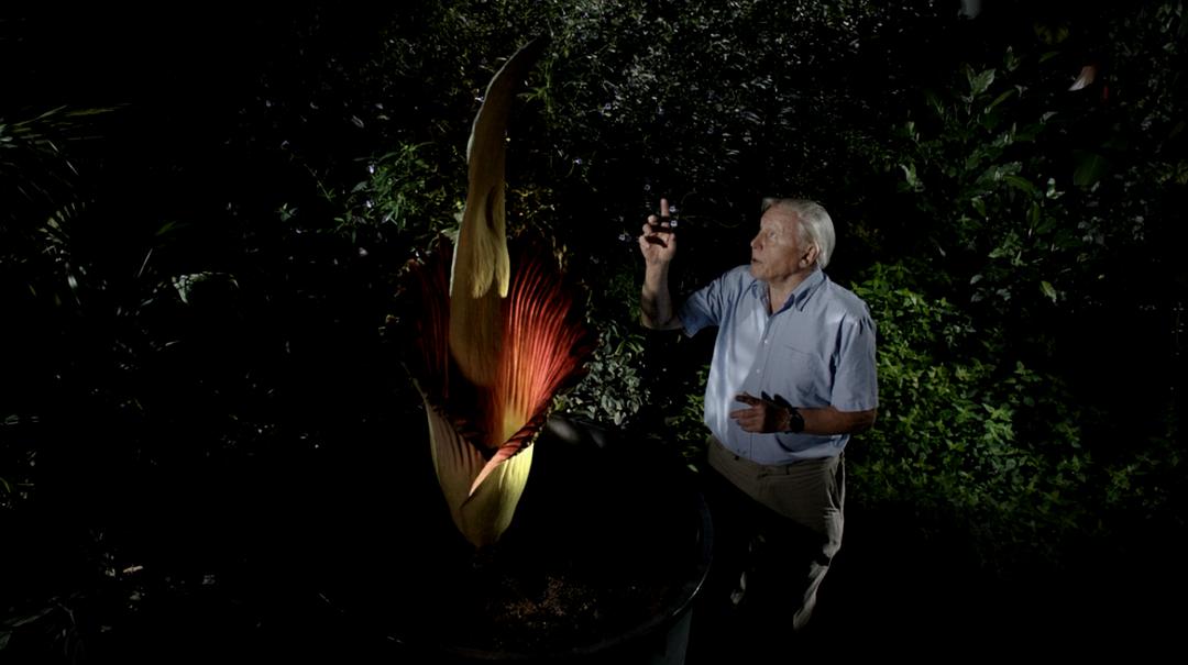 植物王国 Kingdom of Plants 3D