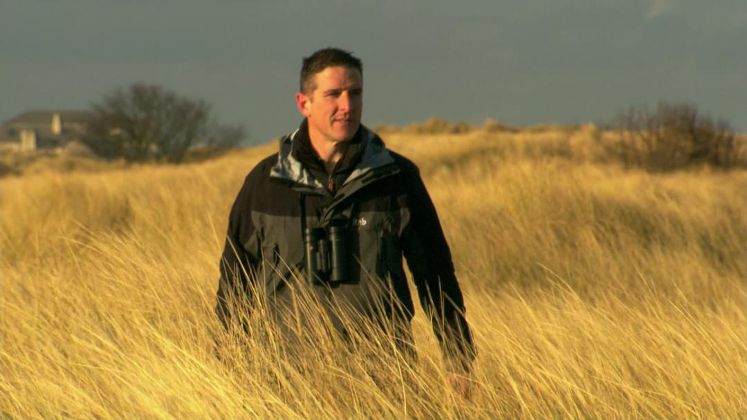 鸟类秘闻 Secret Life of Birds