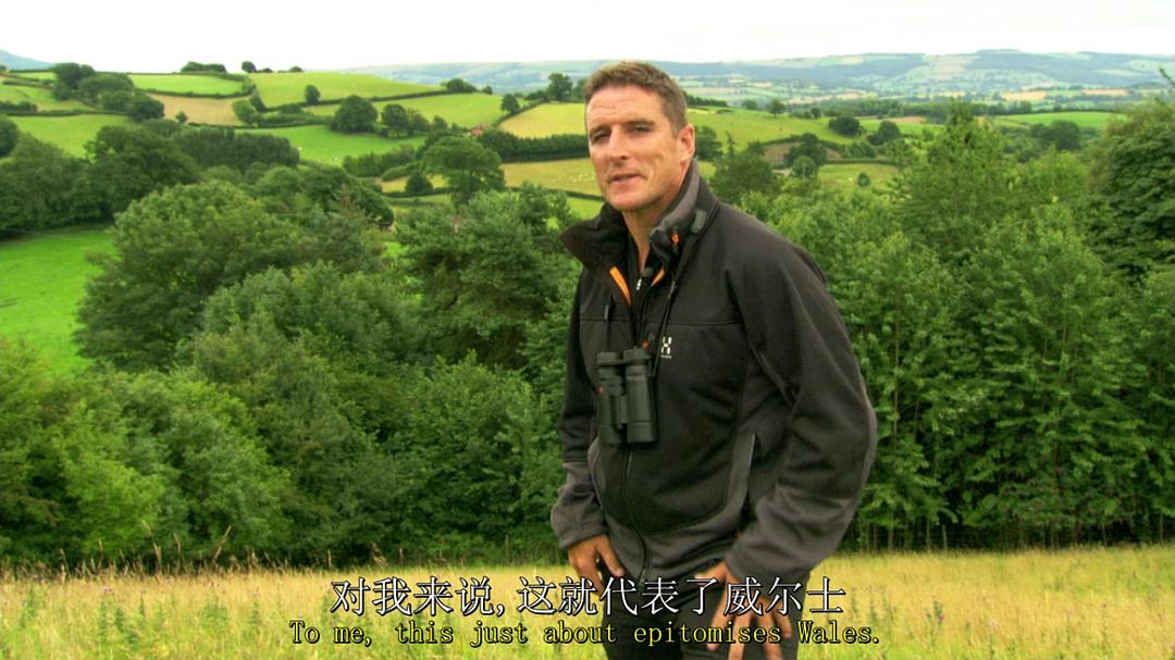 鸟类秘闻 Secret Life of Birds