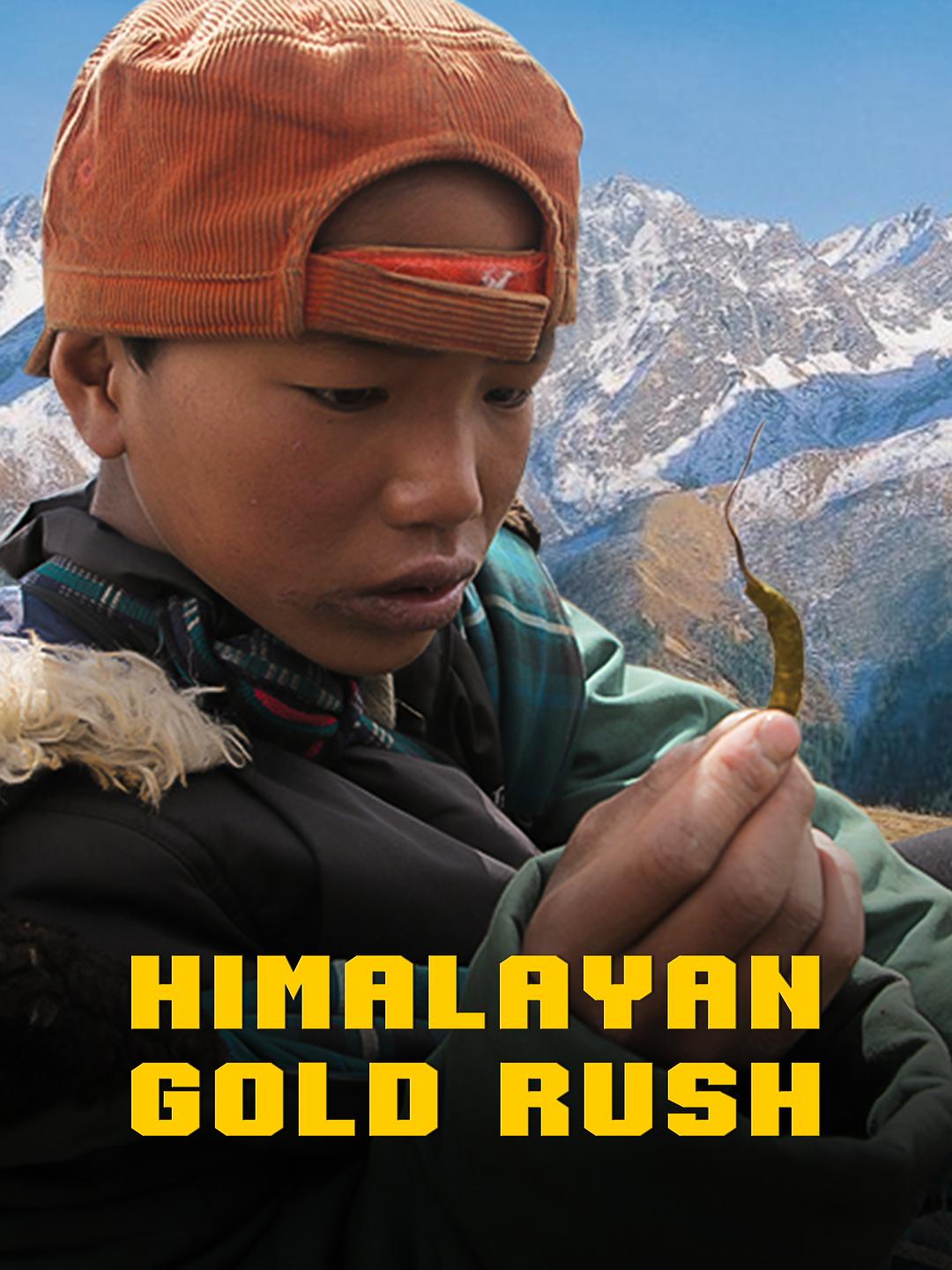 喜马拉雅大淘金 Hymalayan Gold Rush