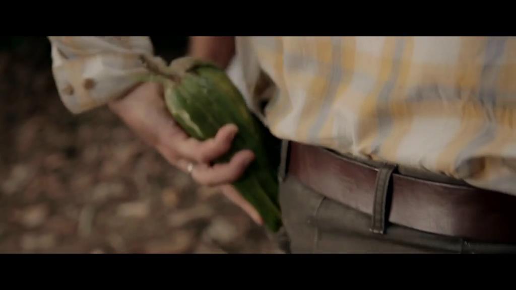 水果猎人 The Fruit Hunters