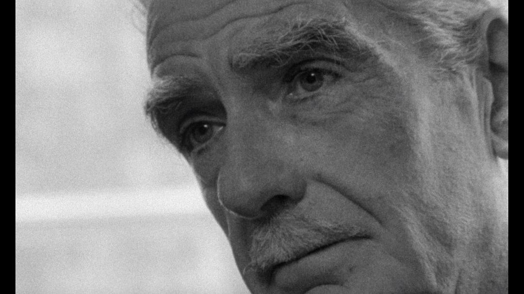 悲哀和怜悯 Le chagrin et la pitié