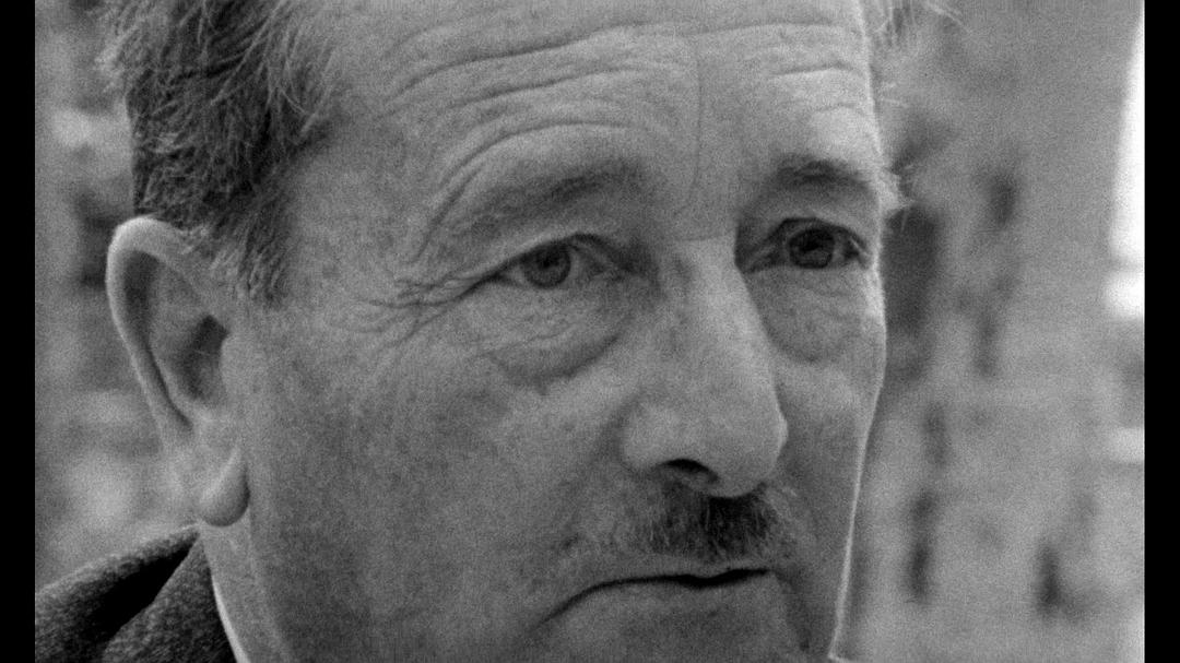 悲哀和怜悯 Le chagrin et la pitié