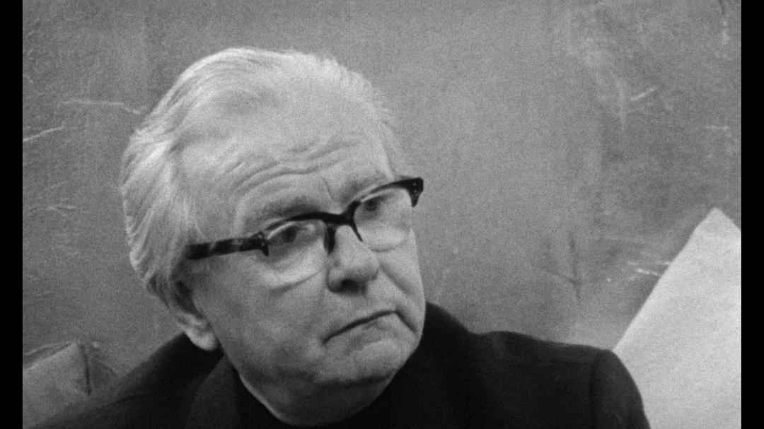 悲哀和怜悯 Le chagrin et la pitié