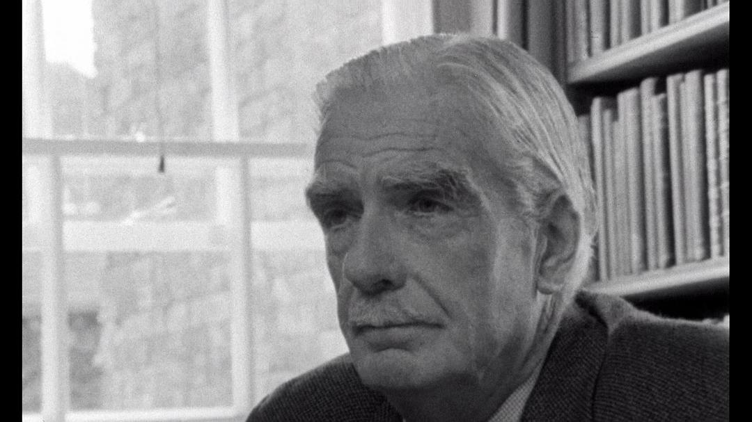 悲哀和怜悯 Le chagrin et la pitié