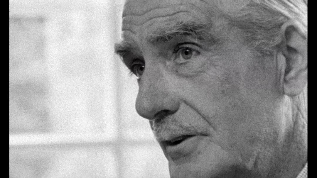 悲哀和怜悯 Le chagrin et la pitié