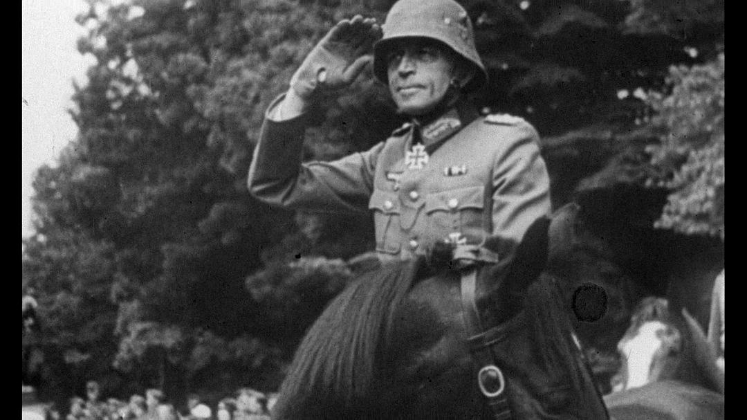 悲哀和怜悯 Le chagrin et la pitié