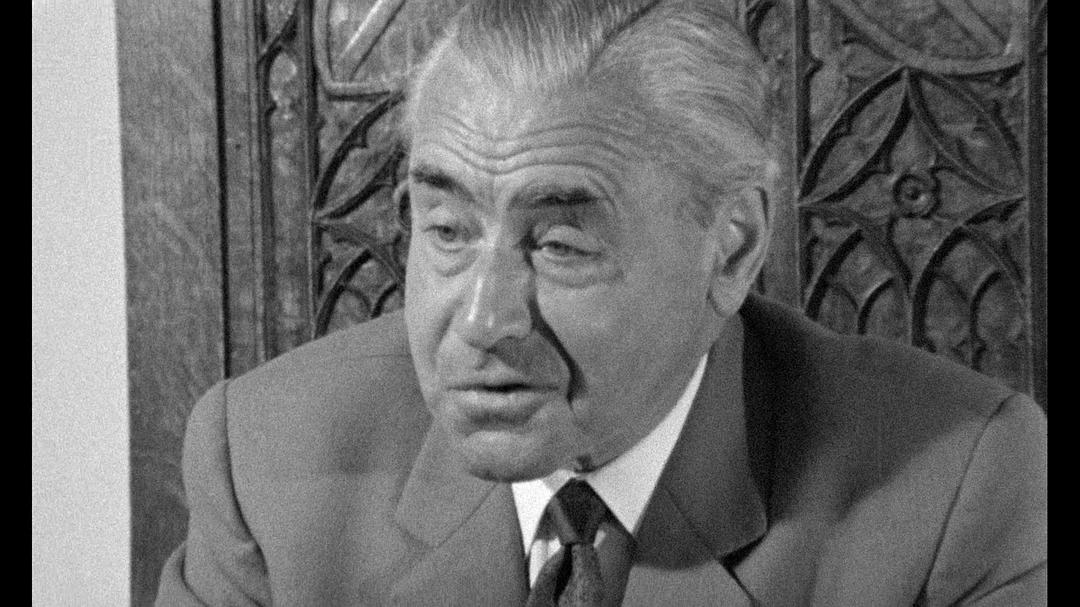 悲哀和怜悯 Le chagrin et la pitié