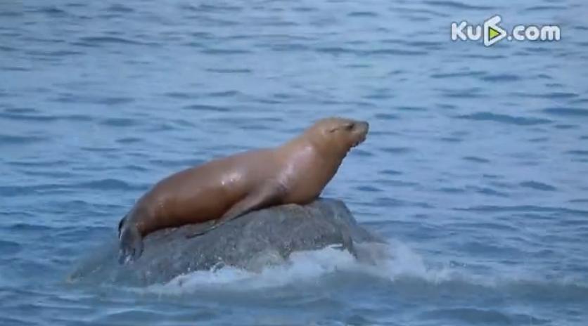 阿拉斯加:荒野的精神 Alaska: Spirit of the Wild