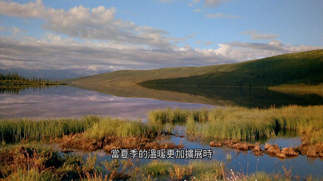 阿拉斯加:荒野的精神 Alaska: Spirit of the Wild