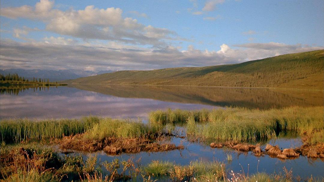 阿拉斯加:荒野的精神 Alaska: Spirit of the Wild