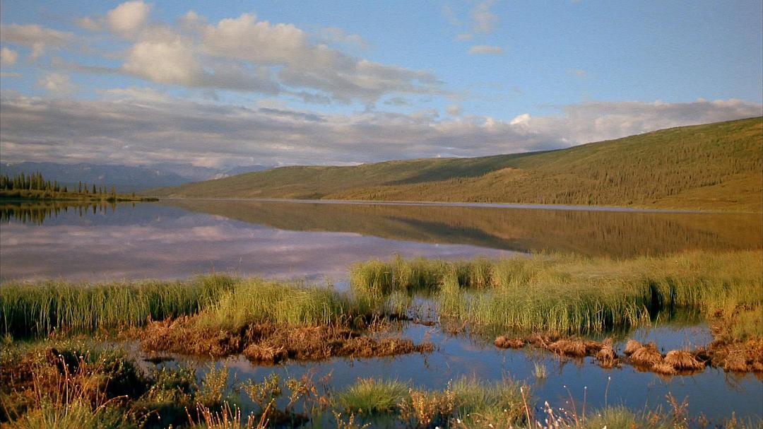 阿拉斯加:荒野的精神 Alaska: Spirit of the Wild