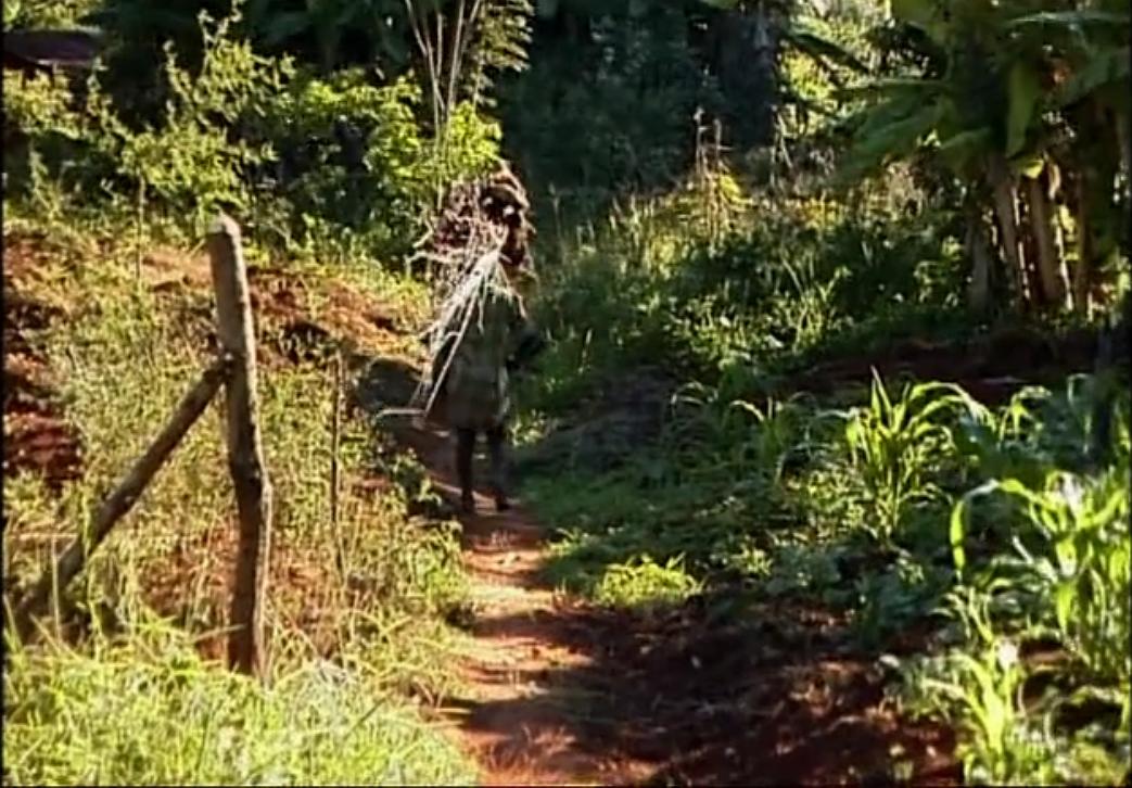 童心一二三 ABC Africa