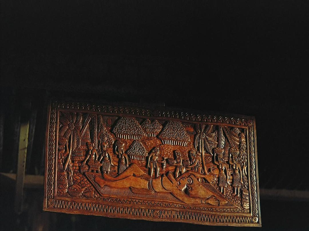 生命海洋 The Living Sea